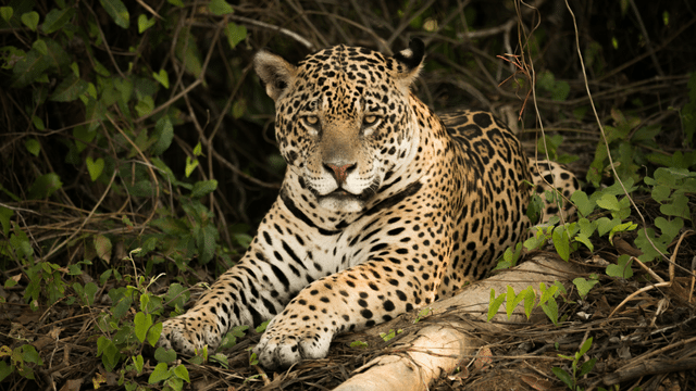 Brazil Photography Expedition