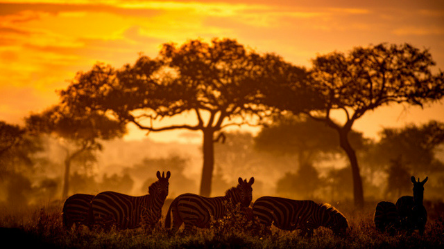 Tanzania Photography Expedition