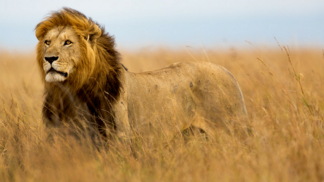 2019 Kenya Photography Expedition