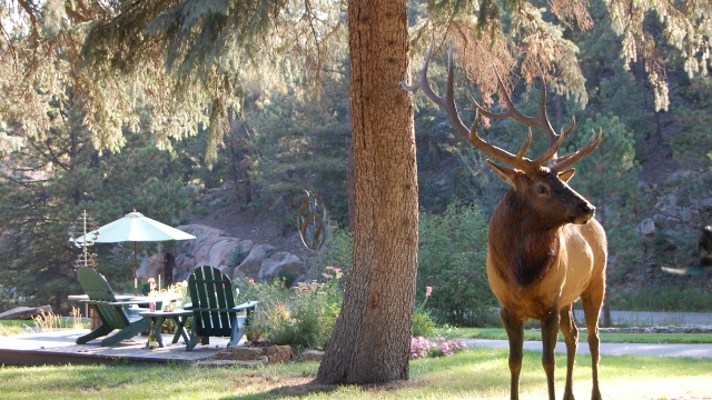 Travel Writing Mountain Retreat Dec 5