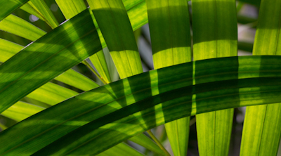 Detailed Photos