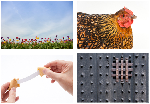 Stock Photo Agencies Stock Photo Agencies