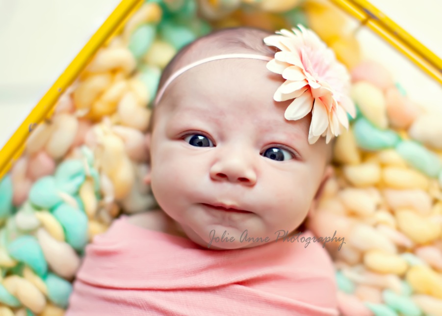 How to pose and photograph newborns the photographers life How to pose and photograph newborns the photographers life